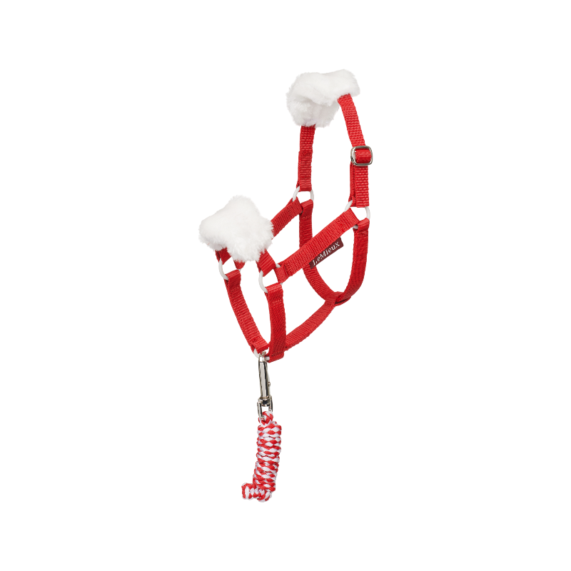 LeMieux - Longe et licol Hobby Horse Noël rouge