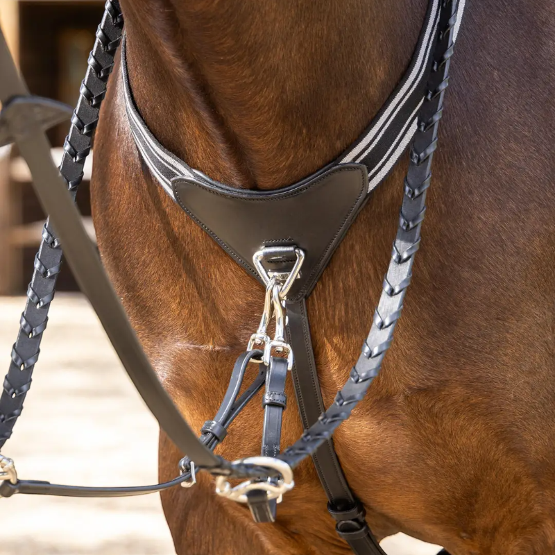 Lemieux - Collier de chasse avec élastique Arika noir/ argent | - Ohlala