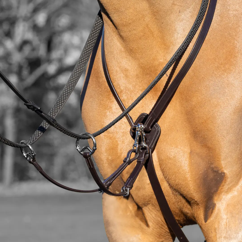 Lemieux - Martingale à anneaux Kudos marron/ argent | - Ohlala