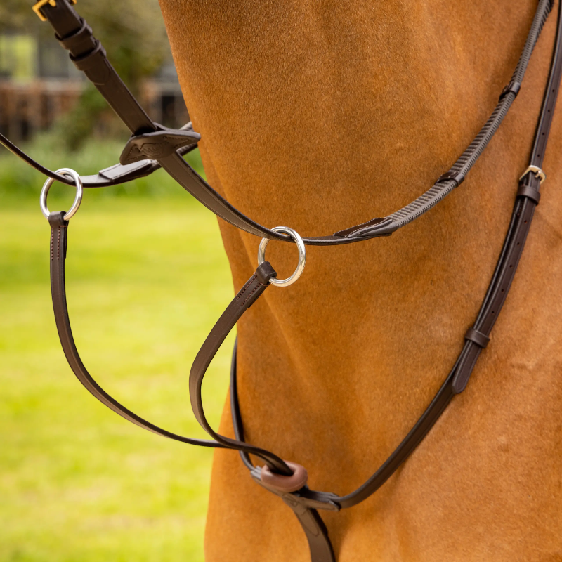 Lemieux - Martingale à anneaux Arika marron/ argent | - Ohlala