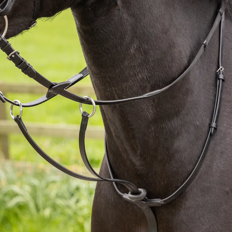 Lemieux - Martingale à anneaux Arika noir/ argent | - Ohlala