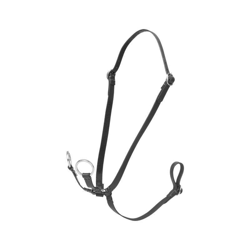 Lemieux - Martingale à anneaux pour hobby horse noir | - Ohlala