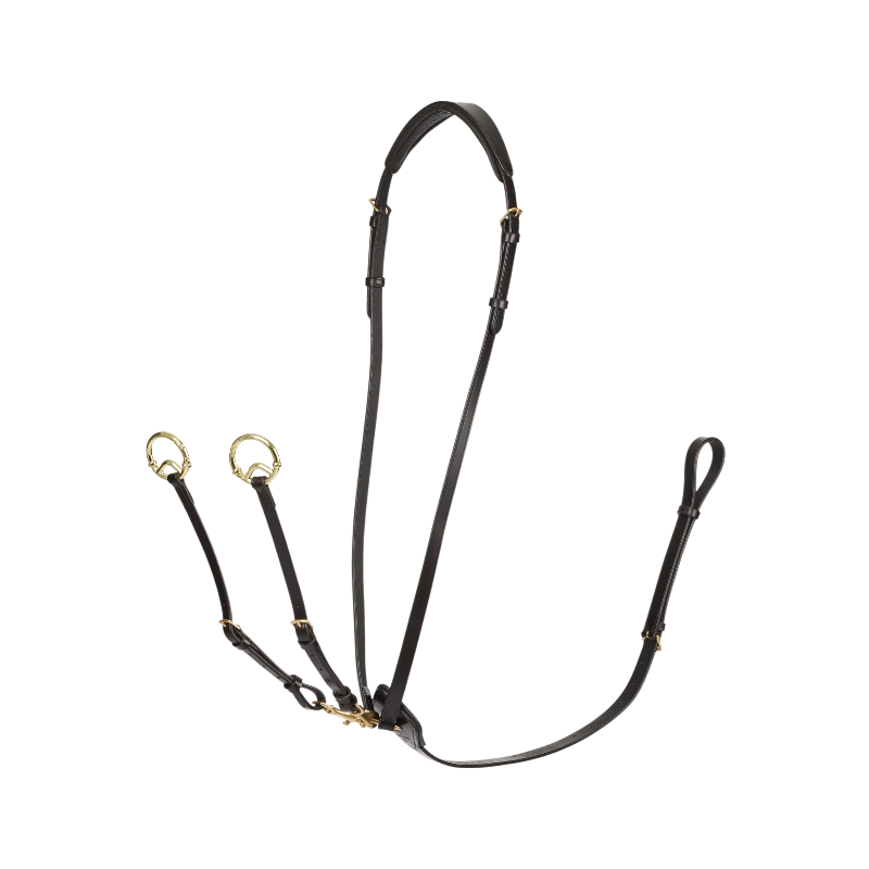 Lemieux - Martingale à anneaux Kudos marron/ laiton | - Ohlala