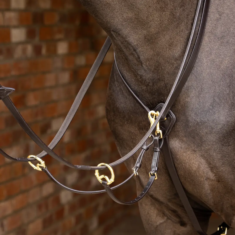 Lemieux - Martingale à anneaux Kudos marron/ laiton | - Ohlala