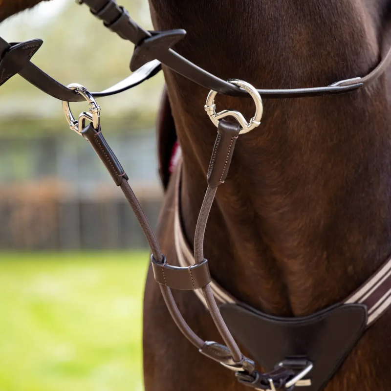 Lemieux - Martingale élastique marron/ argent | - Ohlala