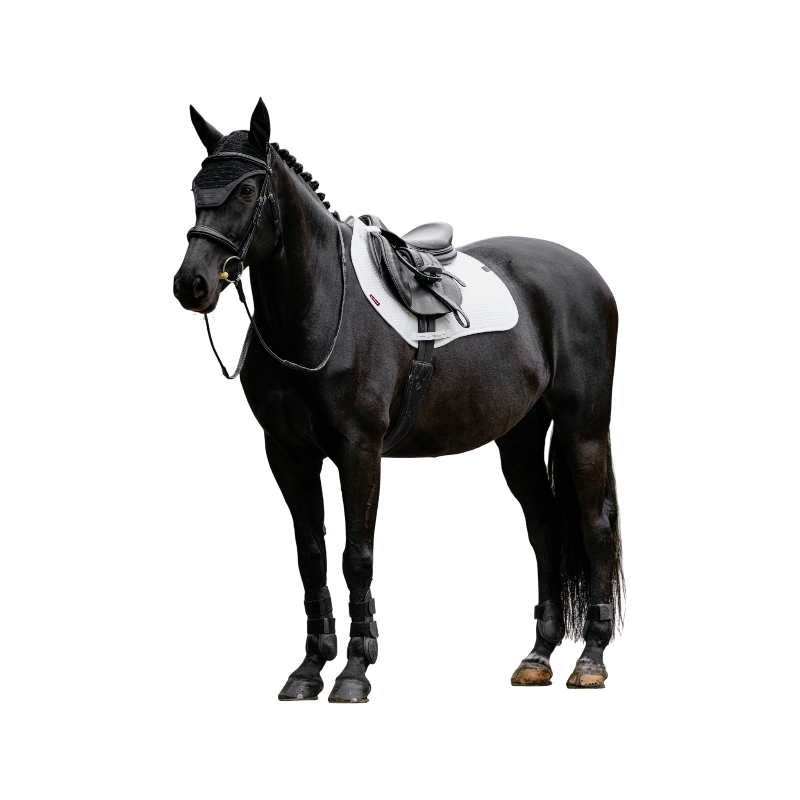 LeMieux - Tapis de selle Square Essence blanc