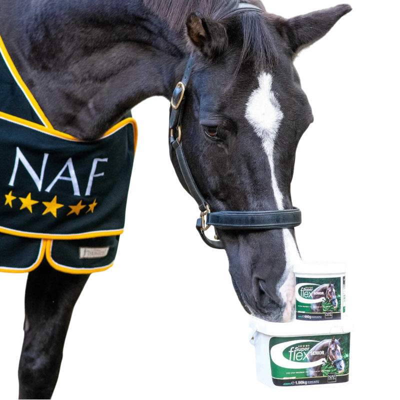 NAF - Complément alimentaire Superflex Senior | - Ohlala