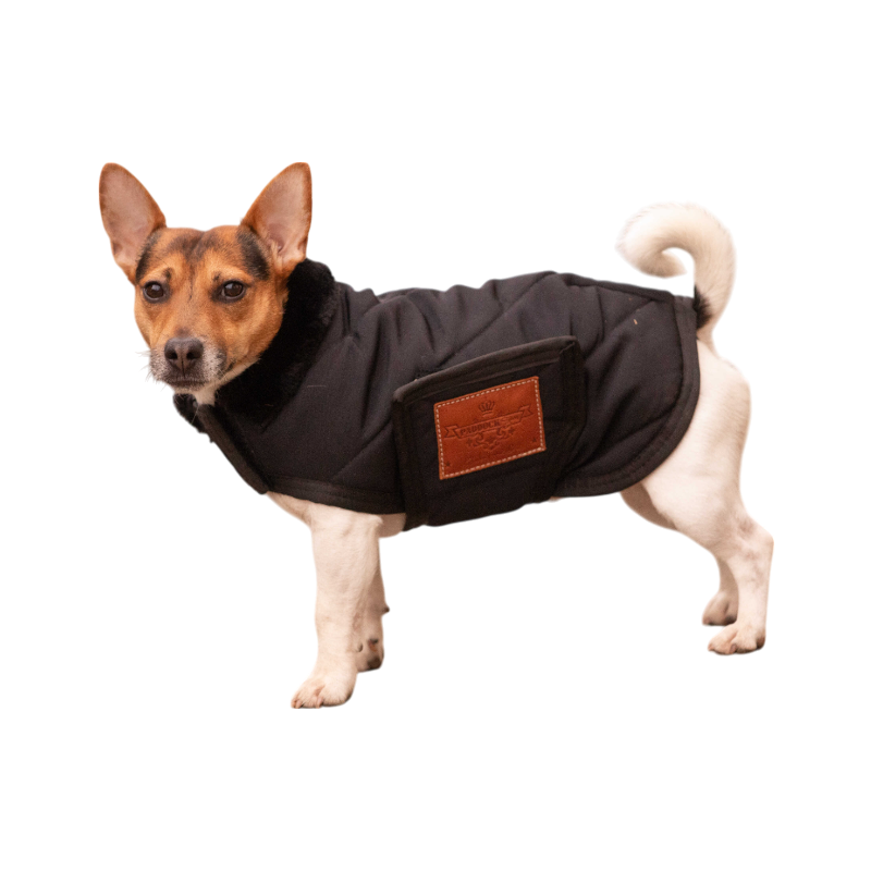 Paddock Sports - Couverture pour chien Diagonal | - Ohlala