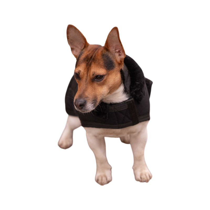 Paddock Sports - Couverture pour chien Diagonal | - Ohlala