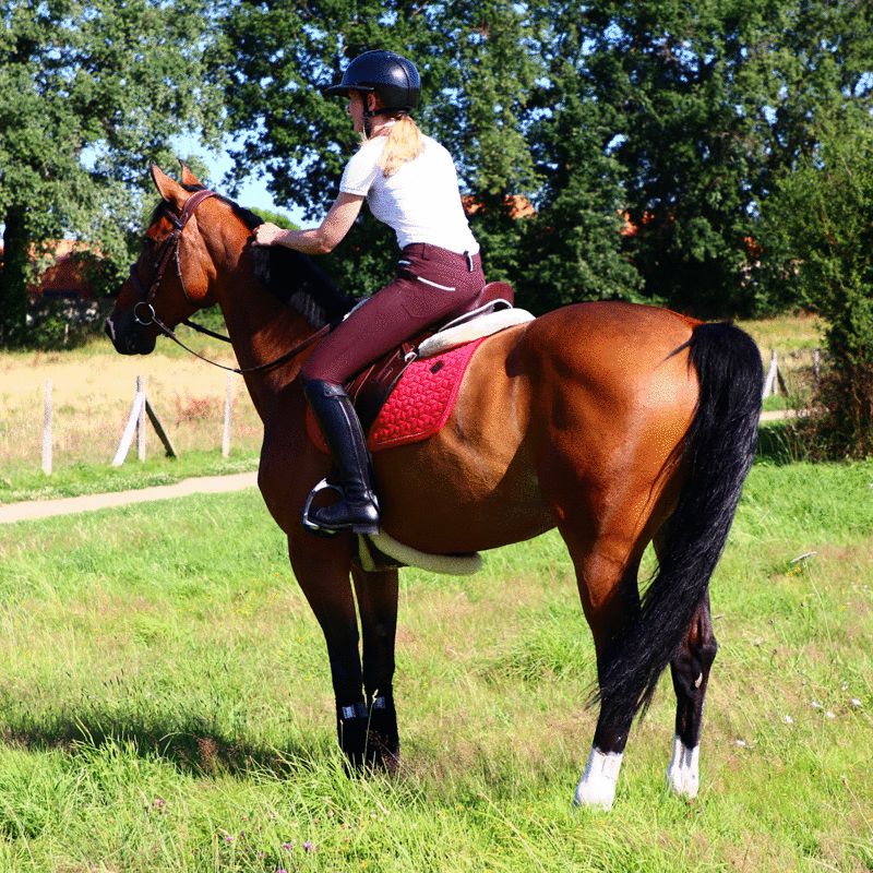 Pénélope Store - Pantalon d'équitation Fun push up Marron | - Ohlala