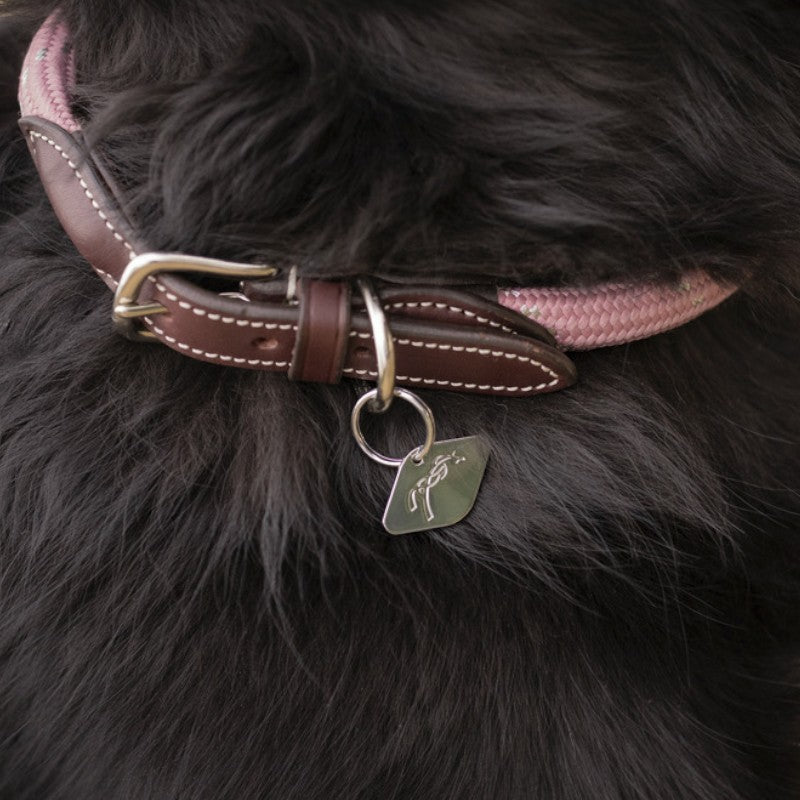 Pénélope - Collier pour chien Billie rose/ lurex | - Ohlala