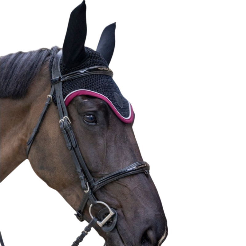 Pro Confort - Bonnet pour chevaux Dynax noir/ burgundy | - Ohlala