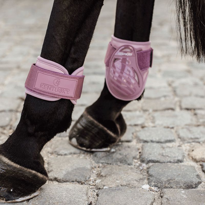 Kentucky Horsewear - Protège-boulet jeunes chevaux vieux rose | - Ohlala