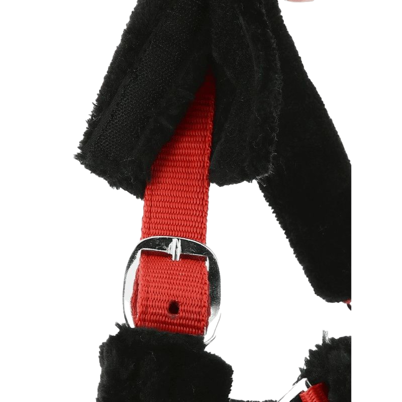 Norton - "Full" synthetic sheep halter red/black