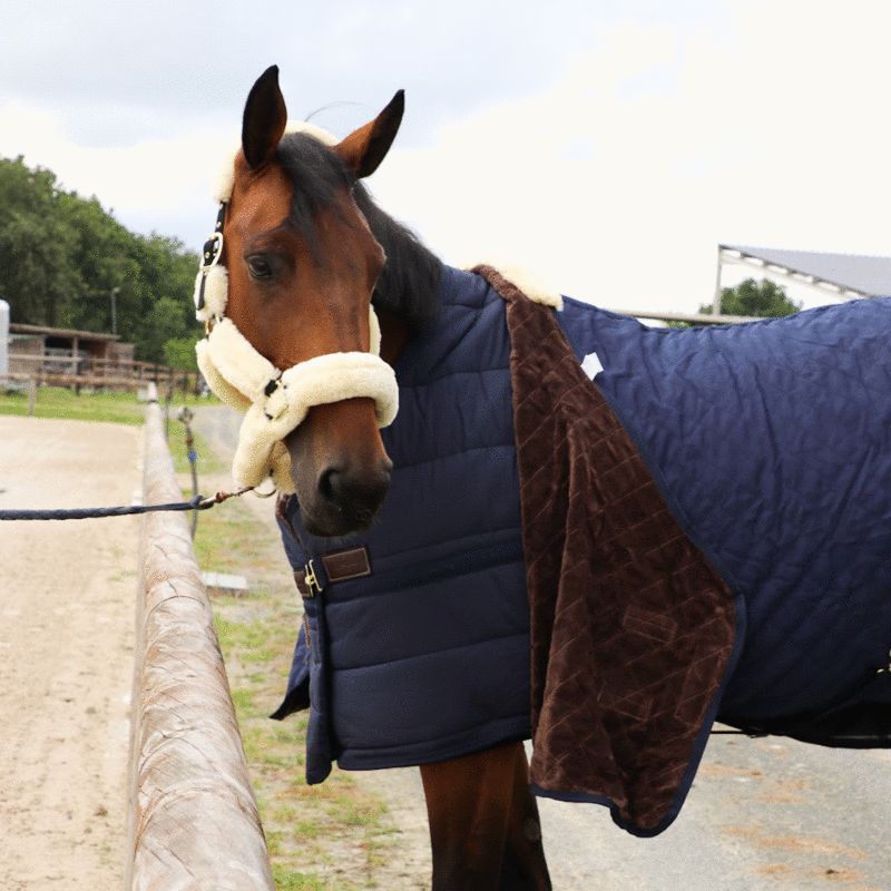 Kentucky Horsewear - Sous-couverture Skin Friendly 150 g marine | - Ohlala