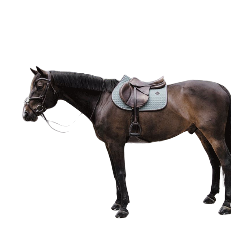 Kentucky Horsewear - Tapis de selle classic leather dusty green | - Ohlala