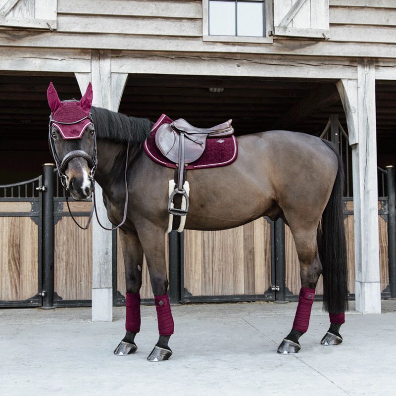 Kentucky Horsewear - Tapis de selle Velvet Jumping Bordeaux | - Ohlala