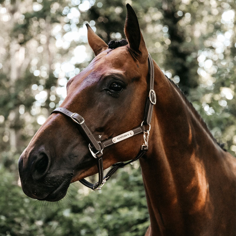 Kentucky Horsewear - Licol en cuir synthétique flexible | - Ohlala