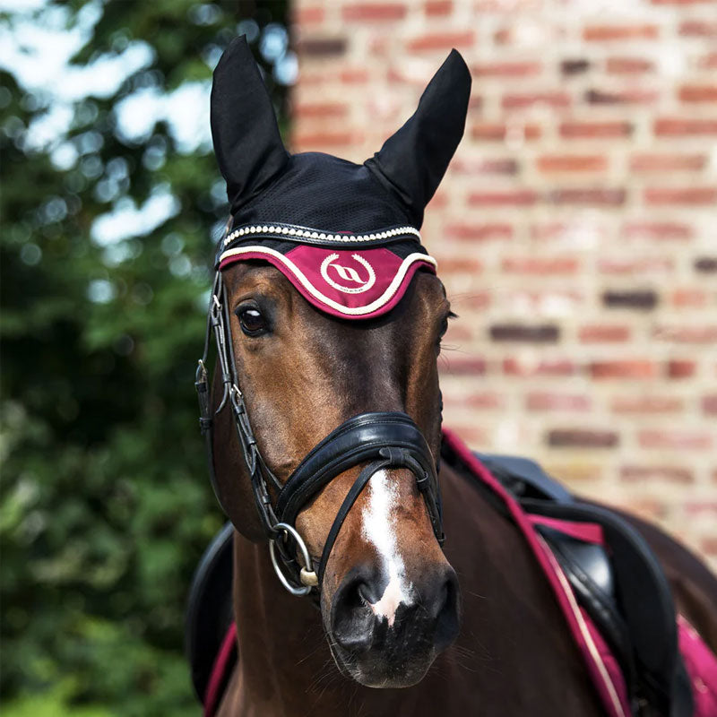 Back On Track - Bonnet pour cheval Night Collection noir/ rouge | - Ohlala