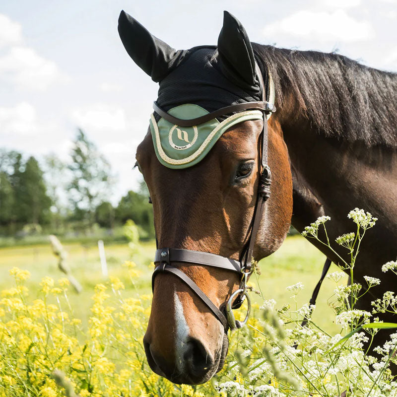 Back On Track - Bonnet pour chevaux Night Collection noir/ olive | - Ohlala