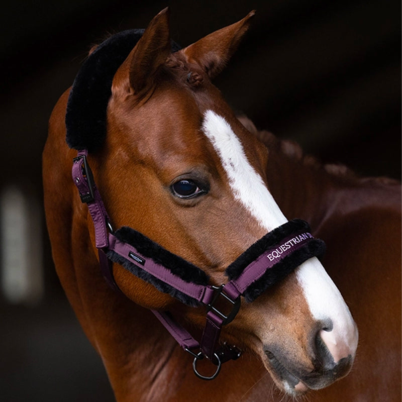 Equestrian Stockholm - Licol mouton et longe Black Raven | - Ohlala