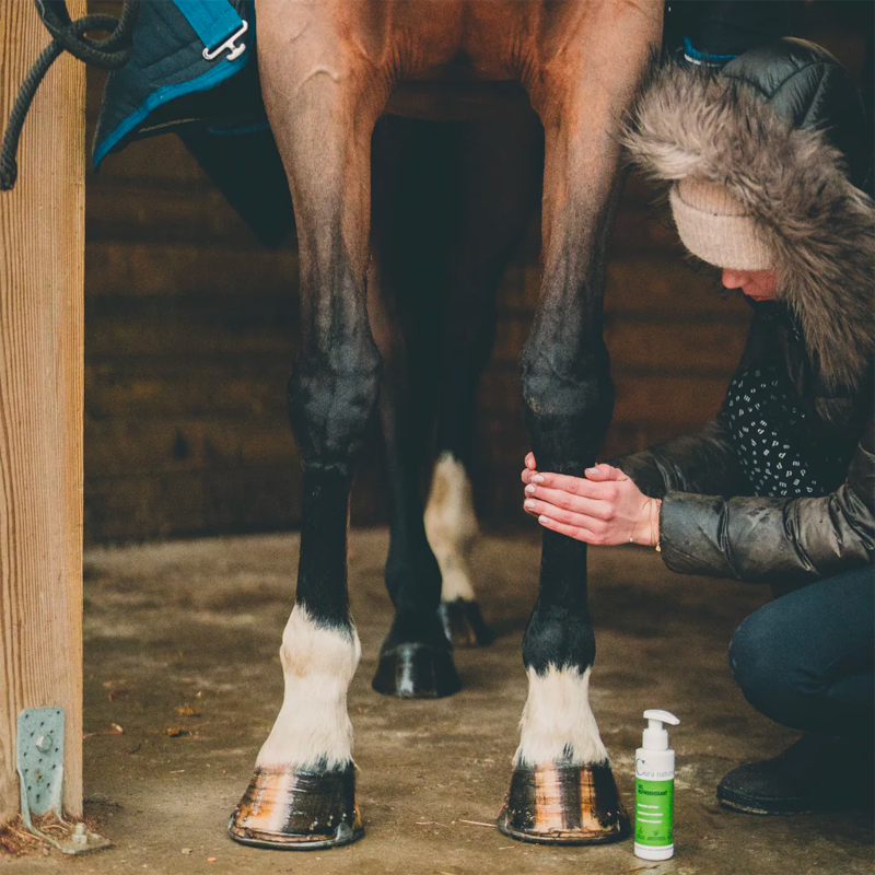 Cura Naturale - Gel refroidissant pour chevaux | - Ohlala