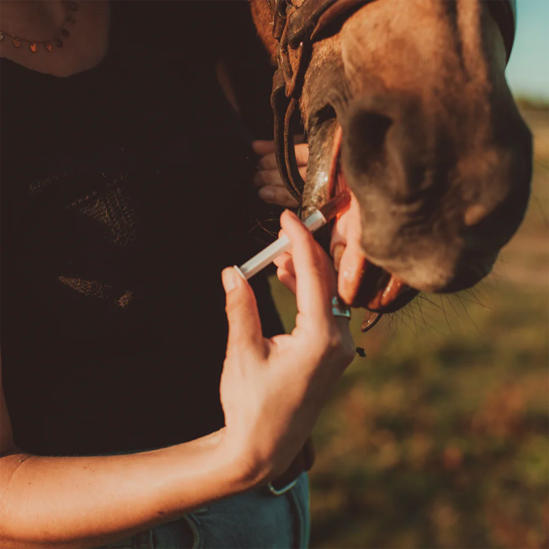 Cura Naturale - Complément alimentaire pour chevaux tendineux et ligamentaire | - Ohlala