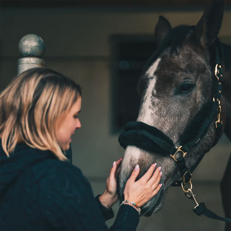 Cura Naturale - Lotion relaxante pour chevaux | - Ohlala