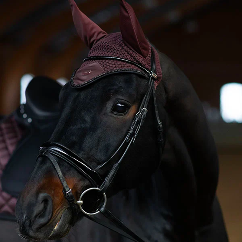 Equestrian Stockholm - Bonnet pour chevaux Endless Glow marron | - Ohlala