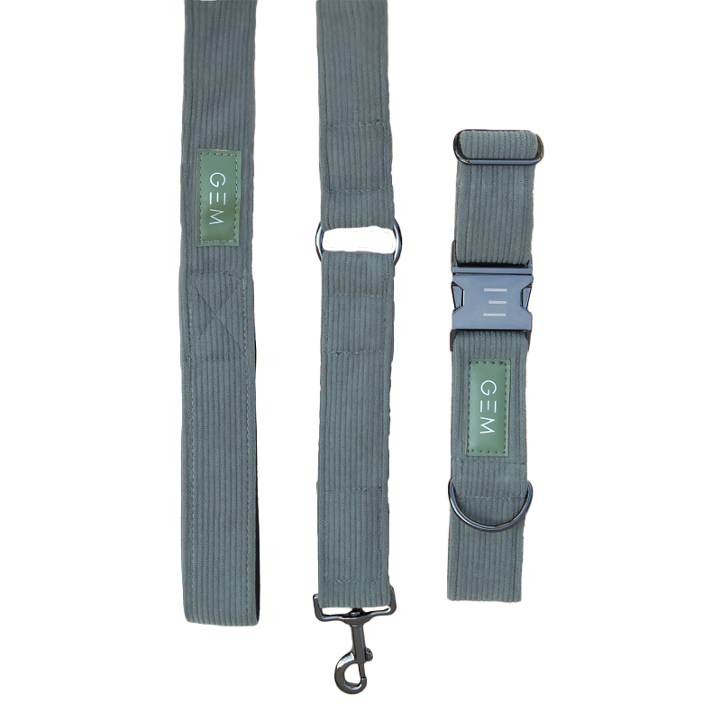 GEM - Collier + laisse pour chien kaki | - Ohlala