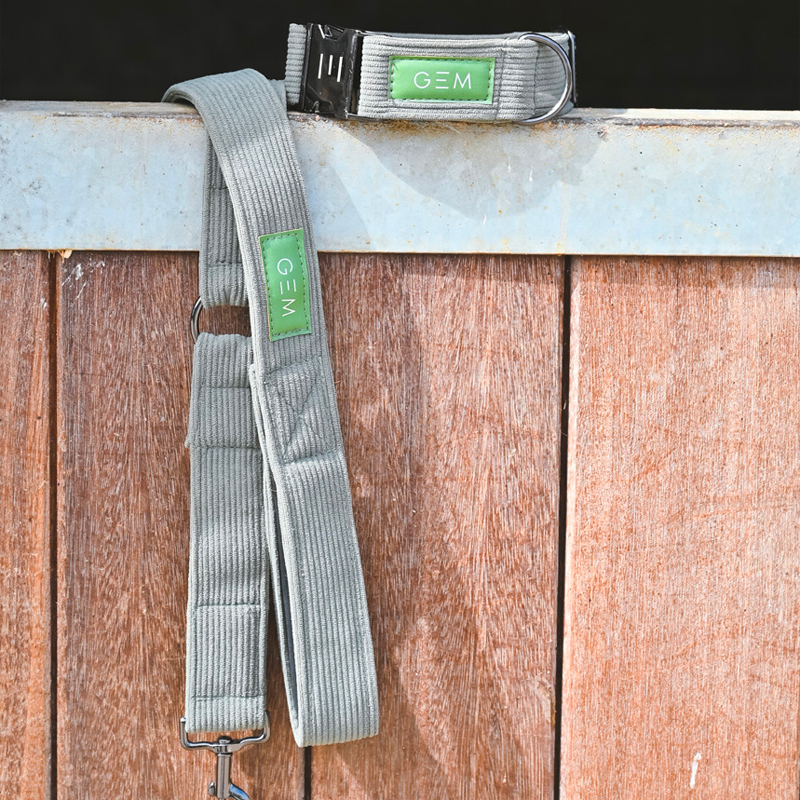 GEM - Collier + laisse pour chien kaki | - Ohlala