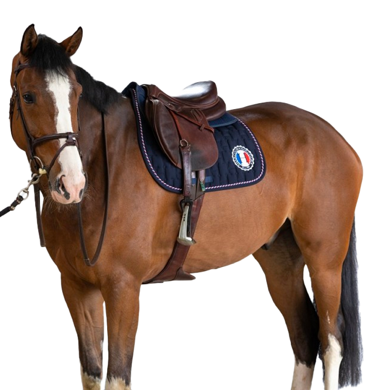 Harcour - Tapis de selle Sable Rider France marine | - Ohlala