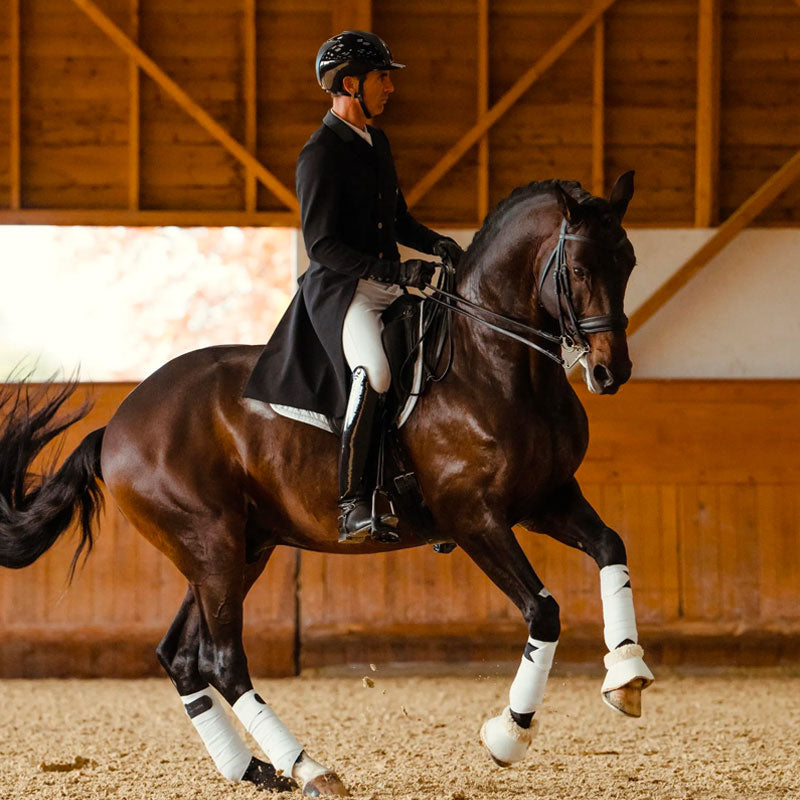 Horse Pilot - Veste de concours de dressage homme Long frac noir | - Ohlala