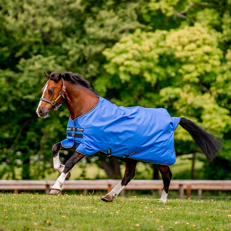 Horseware - Couverture d'extérieur Amigo Hero Ripstop marine/ gris/ bleu 0g | - Ohlala