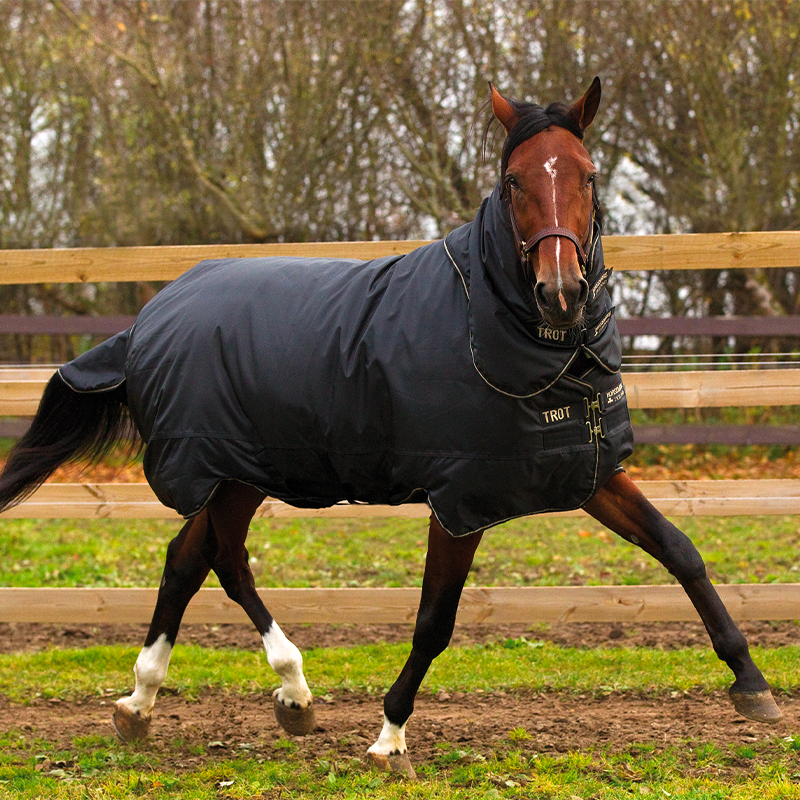 Horseware - Couverture d'extérieur Trot plus avec couvre-cou noir/ noir/ brun 350g | - Ohlala