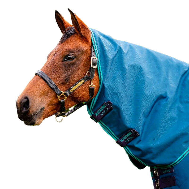 Horseware - Couvre-cou pour couverture Rhino Original Turnout marine/ turquoise 0g | - Ohlala