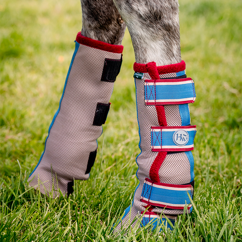 Horseware - Guêtres anti-mouches Flyboot beige/ cerise/ pêche/ bleu | - Ohlala