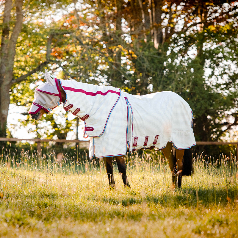 Horseware - Masque anti-mouches Rambo plus avoine/ cerise/ pêche/ bleu | - Ohlala