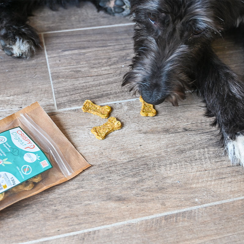 Happy Scoop - Friandises bonne santé digestives crispy Digest pour chiens | - Ohlala