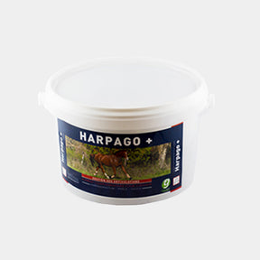 Greenpex - Complément alimentaire soutien articulaire Harpago + | - Ohlala