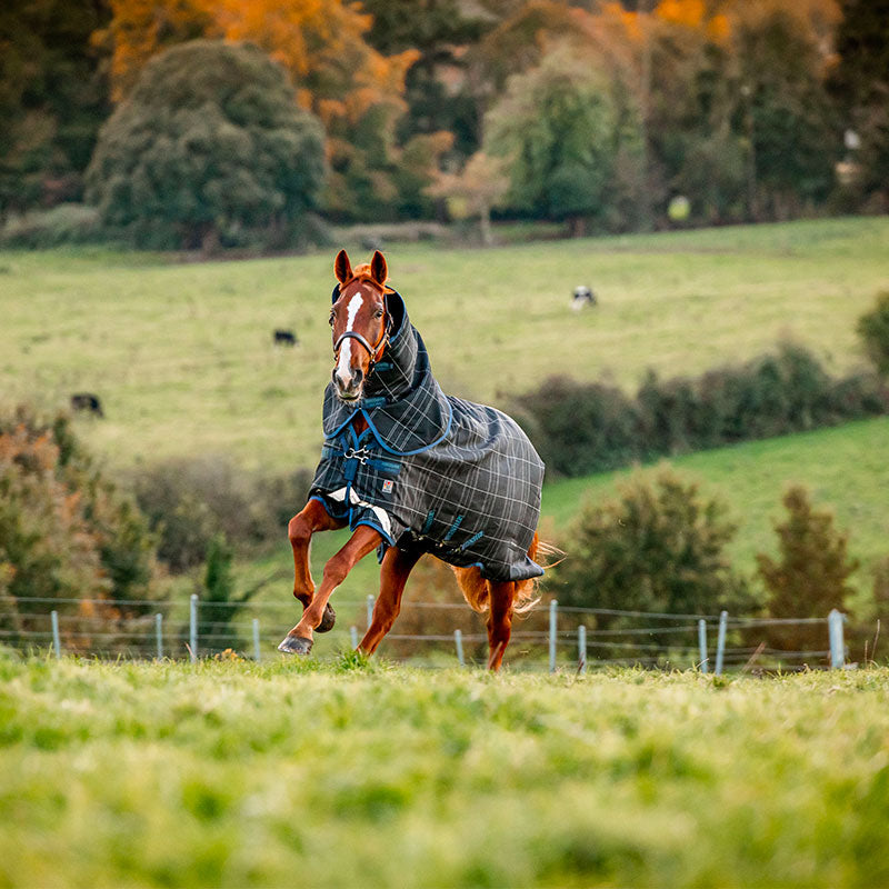 Horseware - Couverture d'extérieur Rhino Plus à carreaux marine | - Ohlala