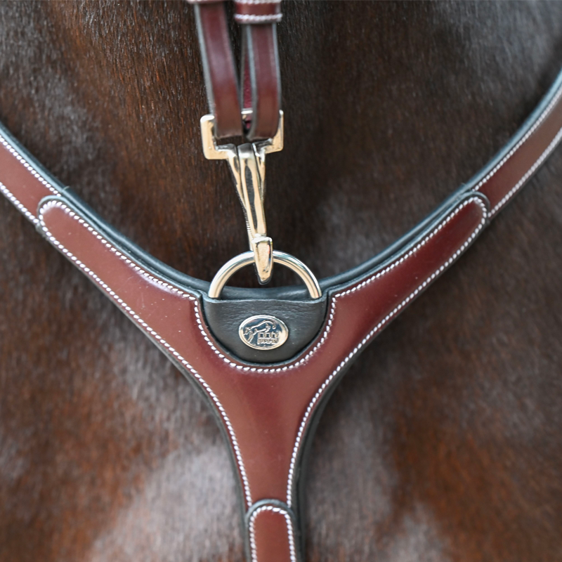 Jump'In - Collier de chasse et fourche de martingale Premium Clincher havane | - Ohlala