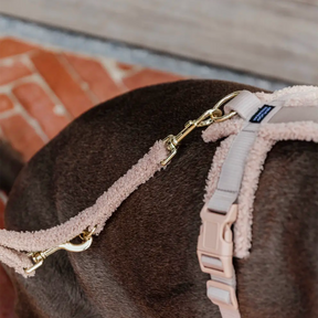 Kentucky Dogwear - Laisse pour chien Teddy Fleece beige 200 cm | - Ohlala