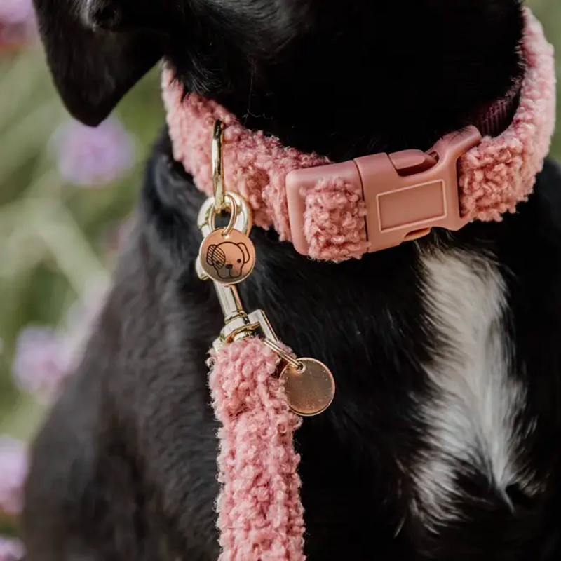 Kentucky Dogwear - Collier pour chien Teddy Fleece vieux rose | - Ohlala