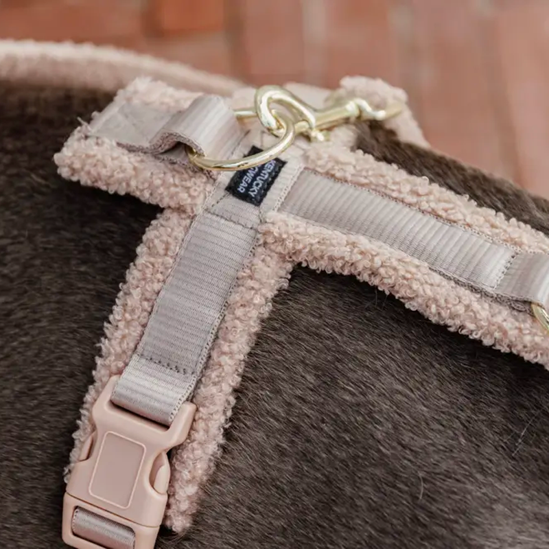 Kentucky Dogwear - Harnais pour chien Teddy Fleece beige | - Ohlala