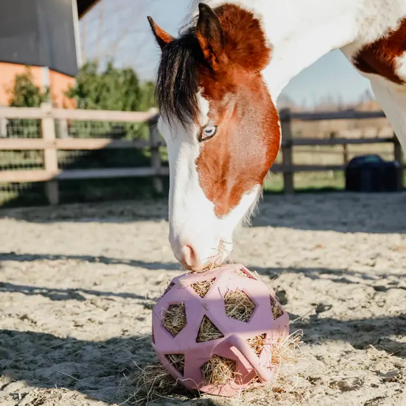 Kentucky Horsewear - Balle de jeu/ foin pour chevaux en caoutchouc vieux rose | - Ohlala