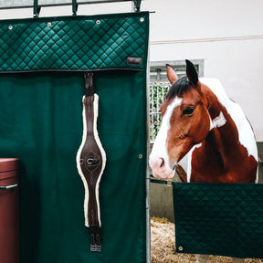 Kentucky Horsewear - Tenture de box imperméable vert | - Ohlala