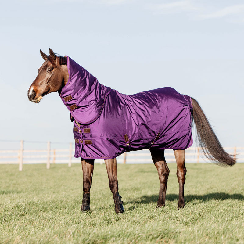 Kentucky Horsewear - Couverture d'extérieur imperméable pro violet 160g | - Ohlala