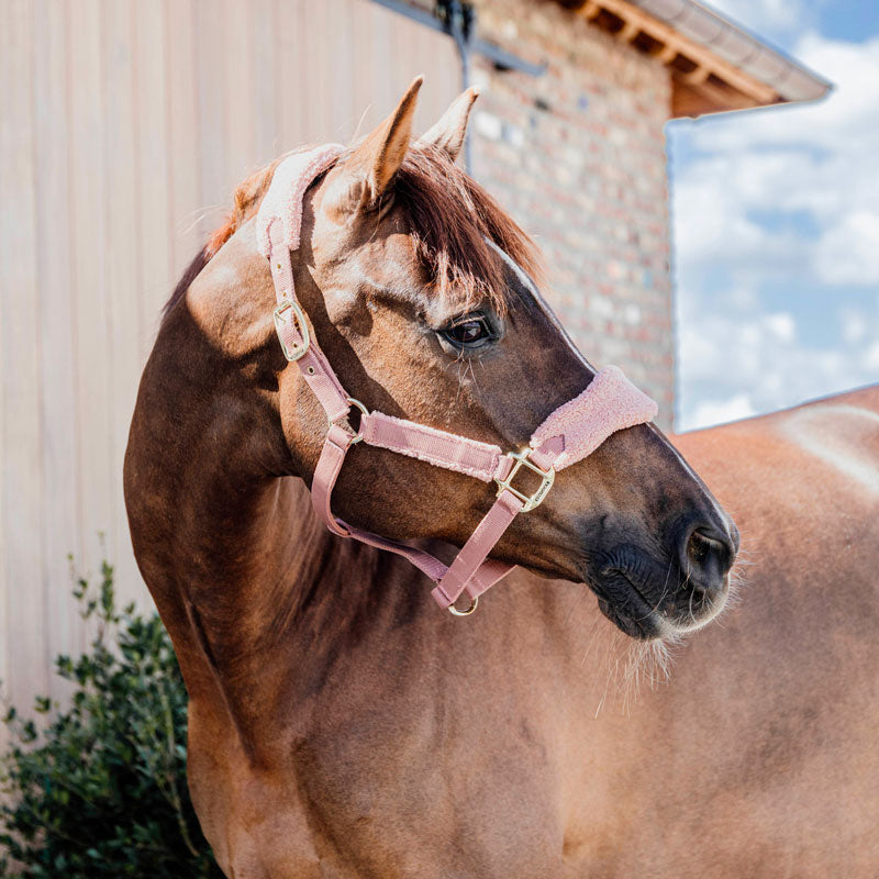 Kentucky Horsewear - Licol polaire Teddy vieux rose | - Ohlala