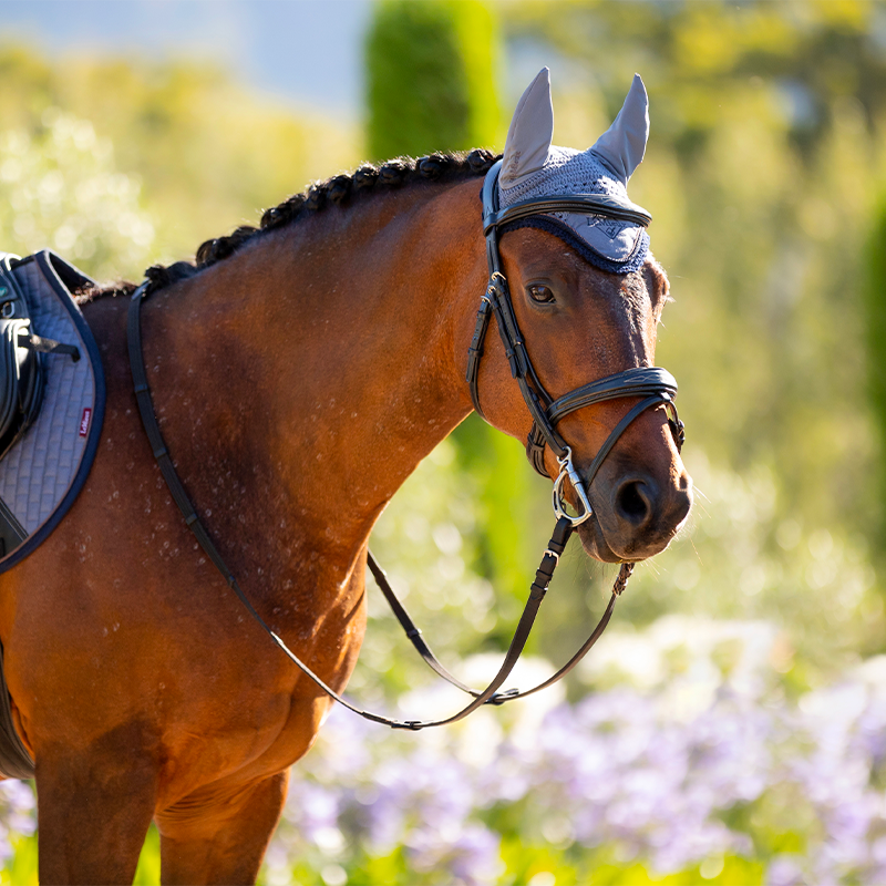 Lemieux - Bonnet pour chevaux anti-mouches Classic bleu jay | - Ohlala